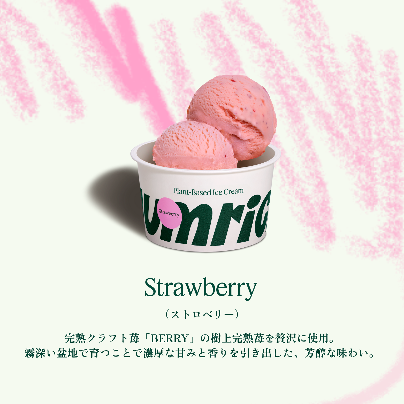 yumrich プラントベースアイス(ストロベリー)2Lバルク